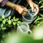 Roundup : calcul du dosage pour 5 et 10 litres d'eau Comment doser Roundup pour 5 ou 10 litres d'eau ?