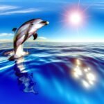 Symbolisme dauphin : révélez ses secrets fascinants