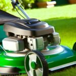 essence tondeuse Essence tondeuse : le guide ultime pour votre jardin