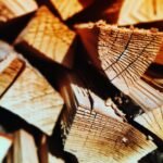 merule sur bois de chauffage Mérule sur bois de chauffage : comment l'éviter ?